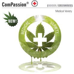 CBD Compassion. Dutch Passion