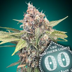 Northern Lights CBD  fem. 00 Seeds