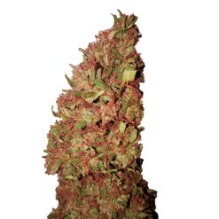 Strawberry CBD+ CBD Buds