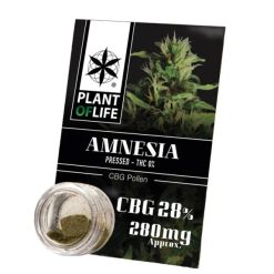 Polen CBG 28% Amnesia Plant of Life