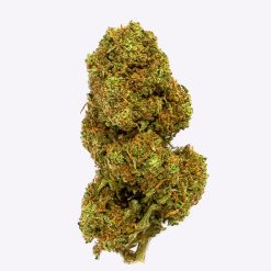 Alternative view of Cañamo Cbd Gorilla Grillz Outdoor Orange Cookies