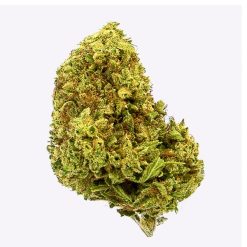 Alternative view of Cañamo Cbd Gorilla Grillz Outdoor Cherry Kush