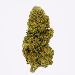 Alternative view of Cañamo Cbd Gorilla Grillz Outdoor Lemon Haze