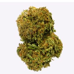 Alternative view of Cañamo Cbd Gorilla Grillz Outdoor Amnesia 47