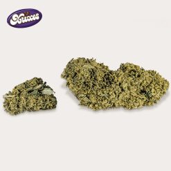 Alternative view of Cañamo Cbd Xuxes Cookies 3 gr.