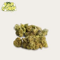 Alternative view of Cañamo Cbd  Xuxes Pop Corn Green Sour 10 gr.