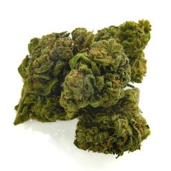 Alternative view of CBD Bee  Monkey Kush 10 gr.