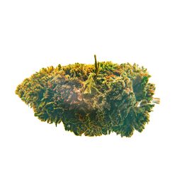 Alternative view of CBD Bee  White Widow  3 gr.