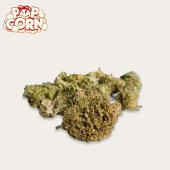 Alternative view of Cañamo Cbd  Xuxes Pop Corn Pink Kush  Poppy 5 gr.